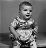 Filnamn=Falk - 8196z.jpg
Filstorlek=29KiB
Dimensioner=429x450
Uppladdade datum=Nov 21, 2008 Falk - 8196z.jpg
