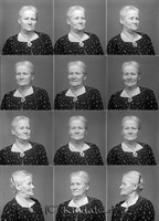 Filnamn=Falk - 9577.jpg
Filstorlek=33KiB
Dimensioner=323x449
Uppladdade datum=Nov 21, 2008 Falk - 9577.jpg