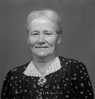 Filnamn=Falk - 9577z.jpg
Filstorlek=25KiB
Dimensioner=429x450
Uppladdade datum=Nov 21, 2008 Falk - 9577z.jpg