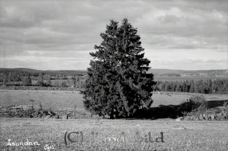 Falk - Vykort - ab019 - HD.jpg