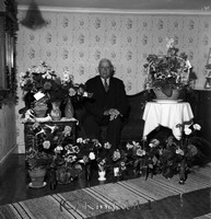 Petters. - ext - 0019a.jpg
