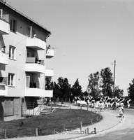 Filnamn=Petters. - ext - 0155xz - HDx01.jpg
Filstorlek=35KiB
Dimensioner=430x450
Uppladdade datum=Nov 18, 2008 Petters. - ext - 0155xz - HDx01.jpg