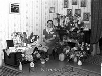 Filnamn=Petters. - ext - 0159b.jpg
Filstorlek=41KiB
Dimensioner=450x333
Uppladdade datum=Nov 18, 2008 Petters. - ext - 0159b.jpg