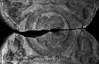 Filnamn=Petters. - ext - 0173mz - HDx03.jpg
Filstorlek=42KiB
Dimensioner=450x291
Uppladdade datum=Nov 18, 2008 Petters. - ext - 0173mz - HDx03.jpg