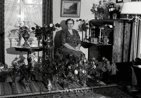 Fru Eriksson Millingetorp
raja 
Eriksson Millingetorp
Porträtt-Kvinna 50 årsfirande

Nyckelord: Eriksson Millingetorp