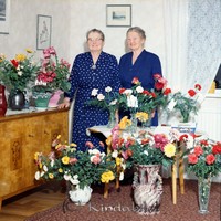 Filnamn=Petters. - ext - 0194a - HD.jpg
Filstorlek=56KiB
Dimensioner=447x450
Uppladdade datum=Nov 18, 2008 Petters. - ext - 0194a - HD.jpg