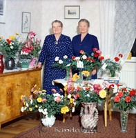 Filnamn=Petters. - ext - 0194b - HD.jpg
Filstorlek=56KiB
Dimensioner=441x449
Uppladdade datum=Nov 18, 2008 Petters. - ext - 0194b - HD.jpg