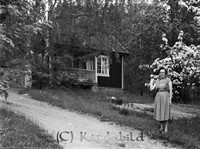 Filnamn=Petters. - ext - 0216d - HD.jpg
Filstorlek=48KiB
Dimensioner=450x334
Uppladdade datum=Nov 19, 2008 Petters. - ext - 0216d - HD.jpg