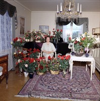 Filnamn=Petters. - ext - 0224c - HD.jpg
Filstorlek=54KiB
Dimensioner=444x450
Uppladdade datum=Nov 19, 2008 Petters. - ext - 0224c - HD.jpg