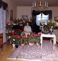 Filnamn=Petters. - ext - 0224d - HD.jpg
Filstorlek=52KiB
Dimensioner=429x450
Uppladdade datum=Nov 19, 2008 Petters. - ext - 0224d - HD.jpg