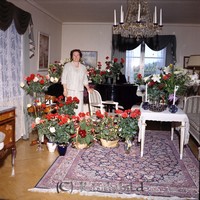 Filnamn=Petters. - ext - 0224f - HD.jpg
Filstorlek=56KiB
Dimensioner=446x450
Uppladdade datum=Nov 19, 2008 Petters. - ext - 0224f - HD.jpg