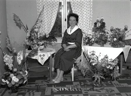 Viola Karlsson Brokullen Kisa
raja 
Viola Karlsson Brokullen 
Porträtt-Kvinna 50 årsfirande

Nyckelord: Karlsson Brokullen