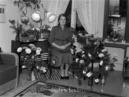 Fru Pettersson Eriksborg Kisa
raja 
Fru Pettersson Eriksborg 
Porträtt-Kvinna 50 årsfirande


Nyckelord: Pettersson Eriksborg