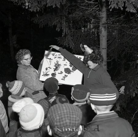 Trollskolan Kisa
Nyckelord: Trollskogen