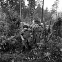 Filnamn=Petters. - ext - 0242s - HD.jpg
Filstorlek=50KiB
Dimensioner=443x450
Uppladdade datum=Nov 19, 2008 Petters. - ext - 0242s - HD.jpg