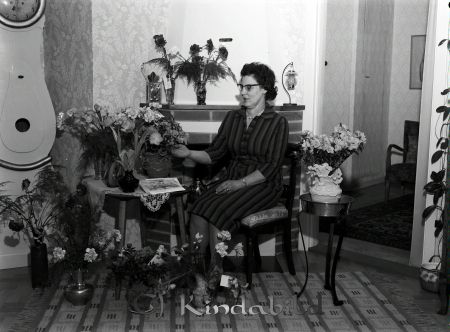 Fru Rydström Lövingsborg Kisa
raja 
Fru Rydström Lövingsborg  
Porträtt-Kvinna 50 årsfirande

Nyckelord: Rydström Kisa