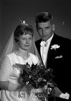 Petters. - 2693d.jpg