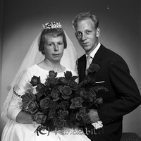 Filnamn=Petters. - 2839l.jpg
Filstorlek=30KiB
Dimensioner=446x450
Uppladdade datum=Nov 20, 2008 Petters. - 2839l.jpg