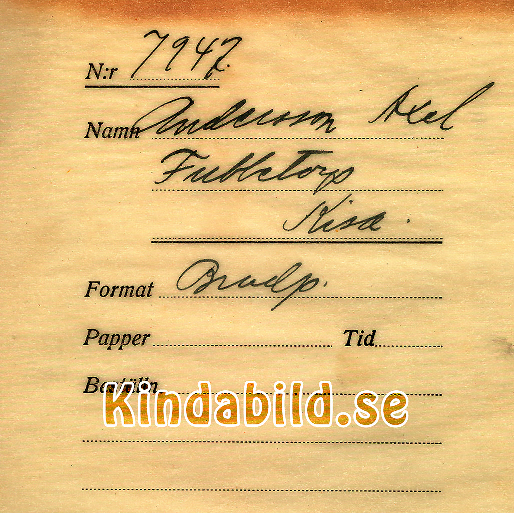 Falk_-_7947b_-_bak.jpg