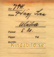 Falk_-_7941_-_bak.jpg