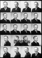Filnamn=Falk - 7982.jpg
Filstorlek=265KiB
Dimensioner=750x1024
Uppladdade datum=Jan 17, 2017 Falk - 7982.jpg