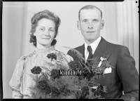 Filnamn=Falk - 8067b.jpg
Filstorlek=360KiB
Dimensioner=1417x1024
Uppladdade datum=Jan 18, 2017 Falk - 8067b.jpg