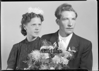 Filnamn=Falk - 8068b.jpg
Filstorlek=356KiB
Dimensioner=1417x1024
Uppladdade datum=Jan 18, 2017 Falk - 8068b.jpg
