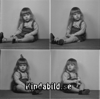 Filnamn=Falk - 8252.jpg
Filstorlek=369KiB
Dimensioner=1033x1024
Uppladdade datum=Feb 01, 2017 Falk - 8252.jpg
