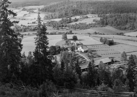 Korpklev Runar Johansson
Nyckelord: Korpklev Runar Johansson