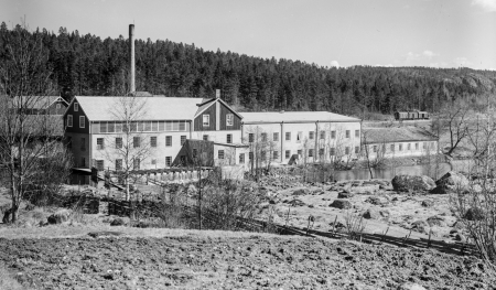 Nyckelord: Forså Kisa