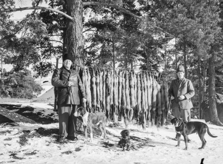 Nyckelord: Kastegård