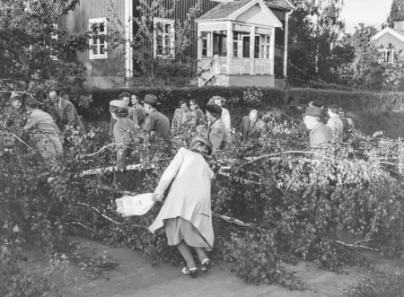 Nyckelord: Svenska Flaggans dag