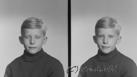 Lars-Göran Viström
Ryda Björkfors
Nyckelord: Lars-Göran Viström