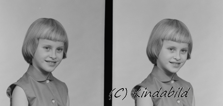 Gunilla Djerf
Björkfors
Nyckelord: Gunilla Djerf