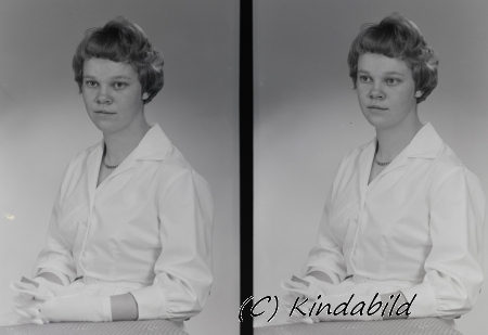 Birgitta Roxström
Nyckelord: Birgitta Roxström