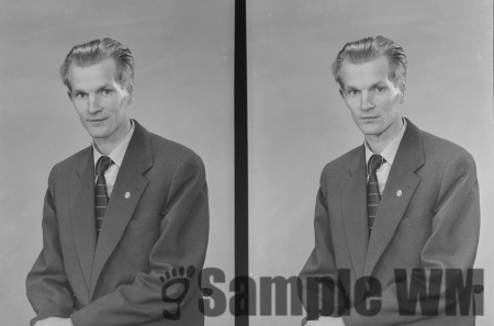 Bertil Månsson
Kisa
Nyckelord: Bertil Månsson