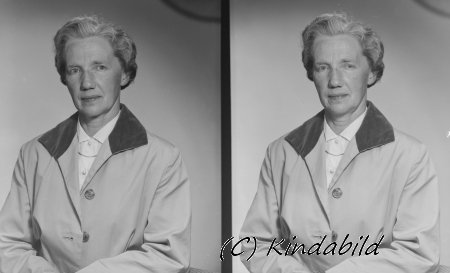 Alice Nilsson
Nyckelord: Alice Nilsson
