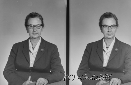 Iris Endré
Gustavssons Pensionat Kisa
Nyckelord: Iris Endré