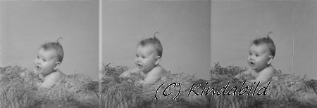 Henry Nilsson
Froghult Kisa
Nyckelord: Henry Nilsson