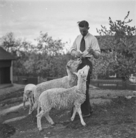 EFA149e.jpg