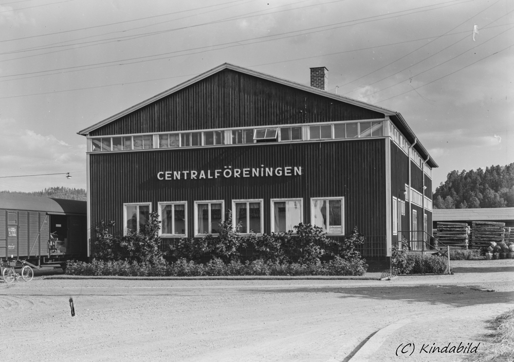 Centralföreningens rosor 	Kisa
