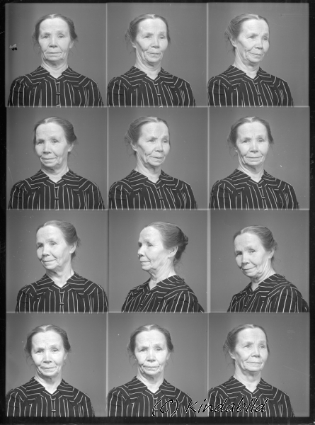 Fru Svensson	Björksnäs Kisa
Nyckelord: Fru Svensson