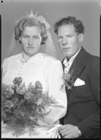 Falk_-_11014a.jpg