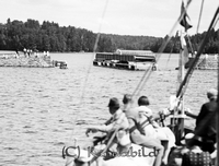 Falk - Sp0018z.jpg