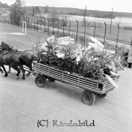 Realexamen Kisa
raja
Studenter på en lövad vagn som dras av två hästar.

Nyckelord: Kisa