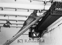 Petters. - ext - 0262e.jpg