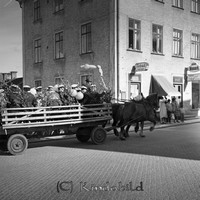 Filnamn=Petters. - ext - 0270-35.jpg
Filstorlek=47KiB
Dimensioner=449x450
Uppladdade datum=Aug 05, 2010 Petters. - ext - 0270-35.jpg