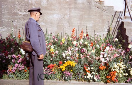 Lundh Kisa
pim
Man beundrar blommor
Nyckelord: Lundh Kisa