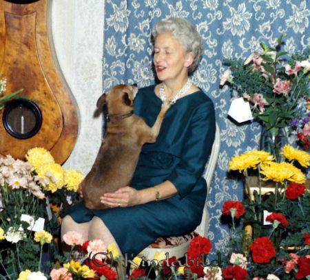 Fransson Kisa
pim
Kvinna som firar högtidsdag med hund i knät
Nyckelord: Fransson Kisa