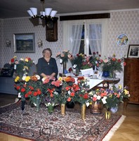 Filnamn=Petters. - ext - 0297c.jpg
Filstorlek=55KiB
Dimensioner=444x450
Uppladdade datum=Aug 05, 2010 Petters. - ext - 0297c.jpg